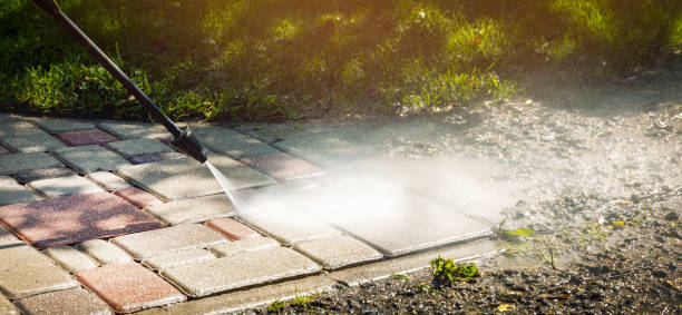 Best Sidewalk and Walkway Cleaning  in Middleton, WI